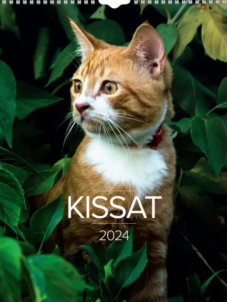 Burde Seinakalenteri 2024 Kissat Shop