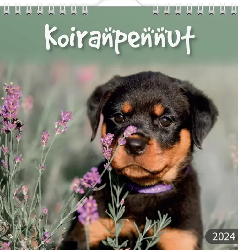 Burde Seinakalenteri 2024 Koiranpennut Sale