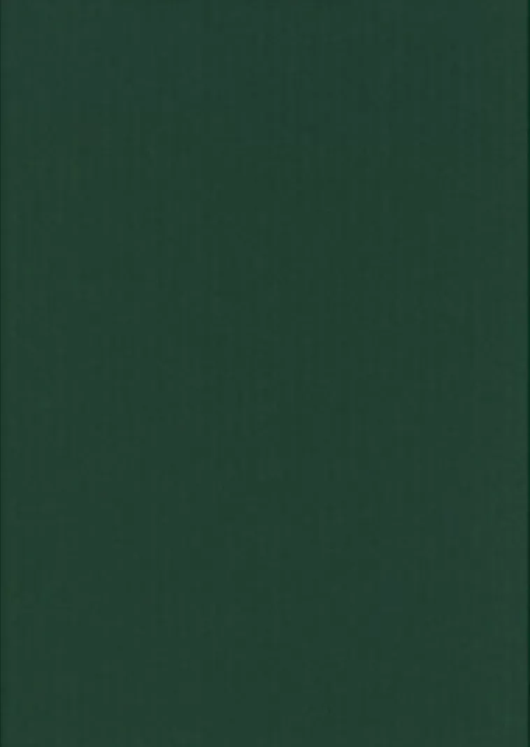 Karto ngit A4 220 Gsm Joulun Vihrea 5 Ark/Pss Shop