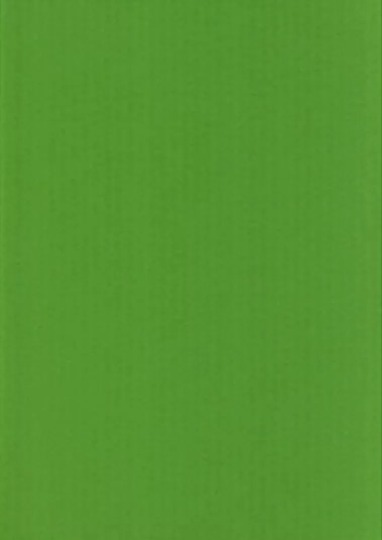 Karto nki A4 220Gsm Kirkkaan Vihrea 5Ark/Pss Fashion