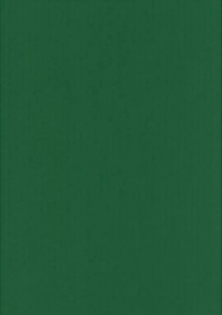 Karto nki Ruohon Vihrea 50X70Cm 220Gsm 5Ark/Pss Hot